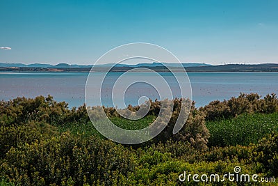 Lagoon. Stock Photo